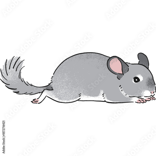 手書き風チンチラの寝転がって休んでいるポーズのイラスト