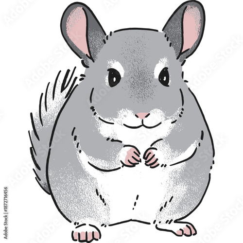 手書き風チンチラの座ったポーズの正面向きのイラスト