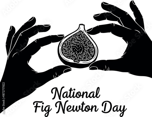 Silhouette of hands holding a fig on national fig newton day