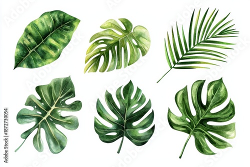 A collection of six different tropical green leaves on a white background, showcasing various shapes and textures of foliage.