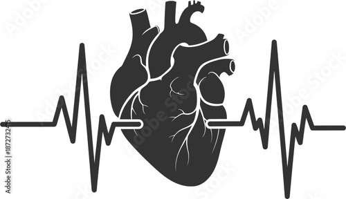 Modern illustration depicting human heart anatomy intertwined with an active electrocardiogram, representing robust cardiovascular health, medical diagnostics, and vital life rhythm