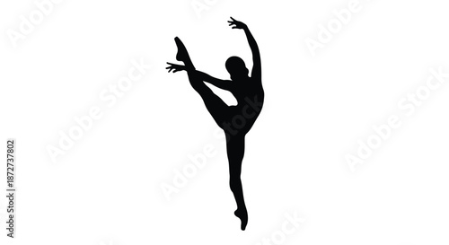 Graceful ballet dancer in elegant silhouette pose on white background