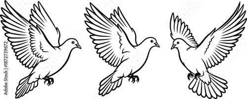 Elegant black and white line art illustration of three flying white doves representing peace freedom spirituality hope and soaring bird grace