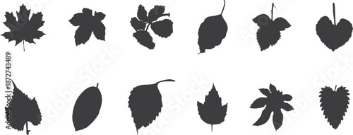 Black leaf silhouette set with assorted botanical shapes. Natural foliage icons ideal for autumn designs, eco branding, and nature themes. Clean organic leaf forms in simple graphic style.