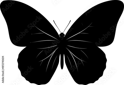 An elegant black silhouette of a butterfly with detailed wing patterns, ready for various creative design projects.