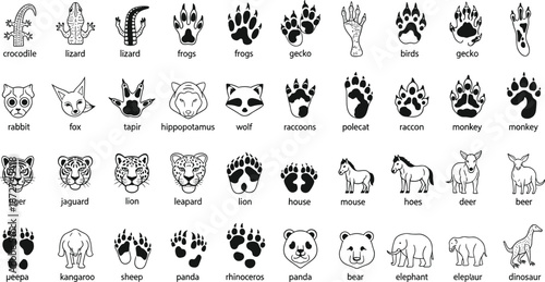 Animal footprint and face icon set, wildlife tracks collection, mammals reptiles birds symbols, educational nature illustration, black vector isolated