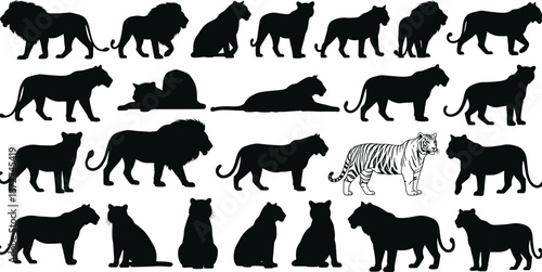 Big cats silhouette icon set, lion tiger panther leopard poses collection, wild predator animals, safari wildlife symbols, black vector isolated