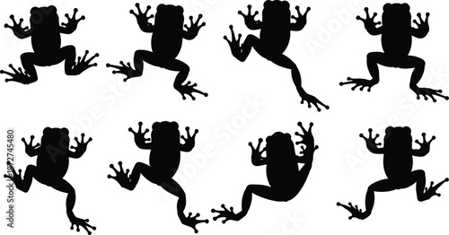Black Frog Silhouette Vector Illustration Set, Tropical Amphibian Shapes, Jumping Toad Icons for Nature Logo Design, Exotic Wildlife Branding Graphics