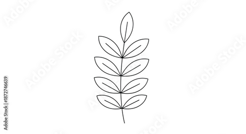 A simple and clean black and white line art drawing of a single plant branch with pairs of symmetrical leaves on a white background.