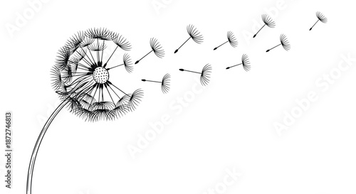 A beautiful and poignant illustration of a dandelion with its seeds being carried away by the wind on a white background.