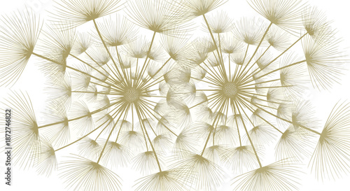 An abstract and delicate background made of two large, overlapping dandelion clocks with their seeds beautifully detailed in a golden hue.