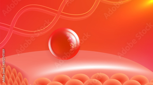 Hyaluronic acid and Niacinamide hair and skin solutions ad, red collagen serum drops into skin cell with cosmetic advertising background ready to use, illustration vector.