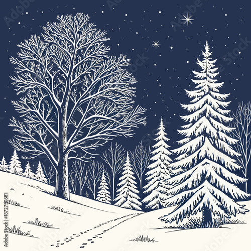 Winter Wonderland SnowCovered Trees and Starry Night.