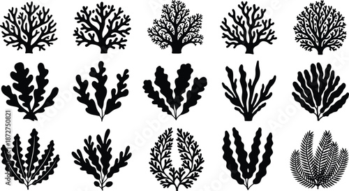 Black silhouettes of cricket players in diverse action poses including batting, bowling, fielding, catching, and celebrating dynamic sports performance