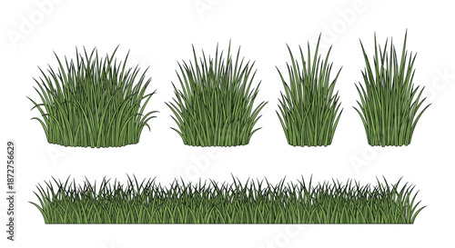 Set of various tall and thick green grass bushes with a seamless horizontal grass border for garden and landscape design.