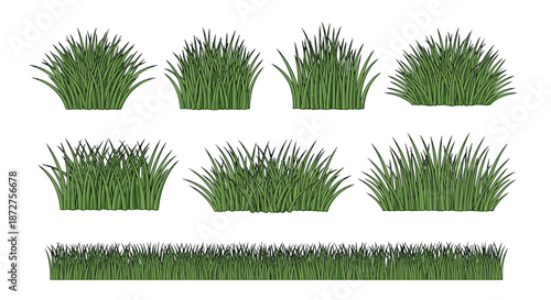 Collection of hand drawn green grass tufts and a long seamless grass border isolated on a plain white background for nature.