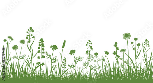 Beautiful horizontal border featuring silhouettes of various wild grass and flowers in green on a clean white background.