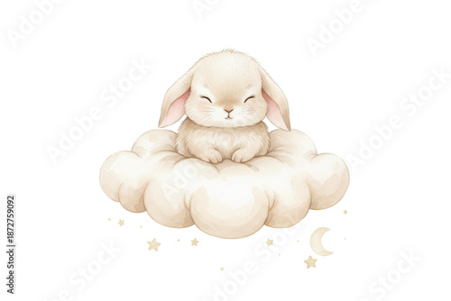 A serene bunny rests gently on a fluffy cloud under a celestial night sky illustration design