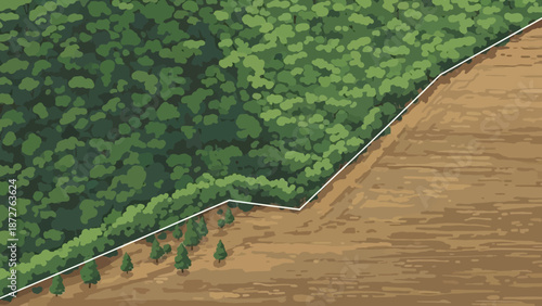 Forest demarcation in nature: A visual depiction of a forest's edge or boundary, showcasing the line where dense, verdant forest meets a clearer area.