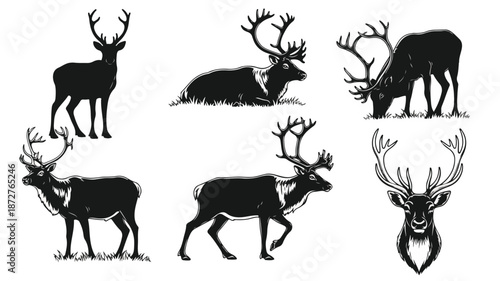 Collection of six black silhouette illustrations of deer in various poses against a clean white background.