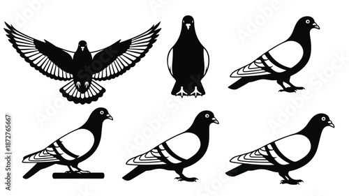 Collection of six black pigeon silhouettes in various poses on a white background