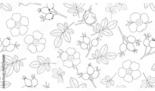 Rosehip flower leaves and fruit seamless botanical pattern vector
