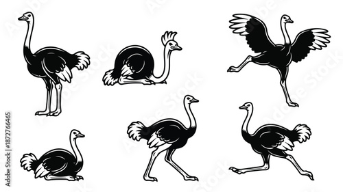 A set of six black and white ostrich illustrations in various poses against a clean white background.