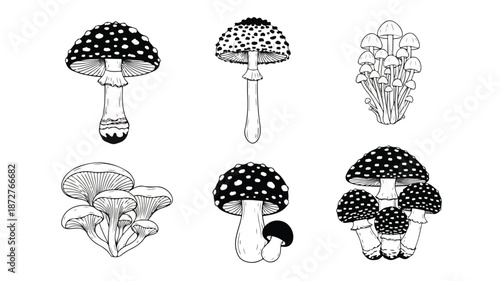 A set of black and white illustrations of various mushrooms with spots and different shapes against a clean white background.