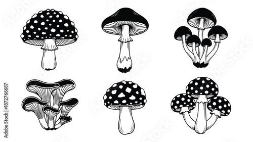 A set of six black and white illustrations of various mushrooms with spots against a plain white background.