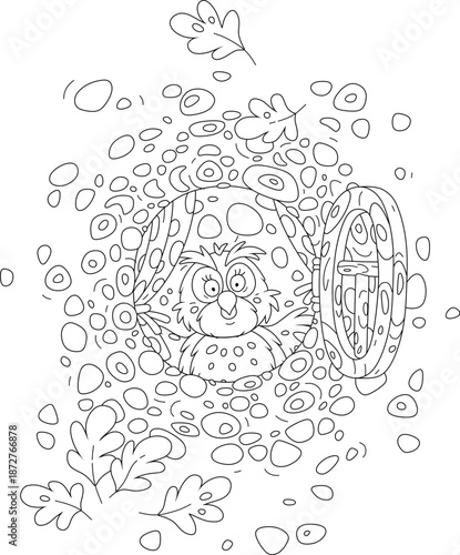 Cartoony wise owl with surprised large round eyes peeking out of its cozy hollow with curtains and open wooden window in an old oak tree in a thicket of a fairytale forest, vector cartoon illustration