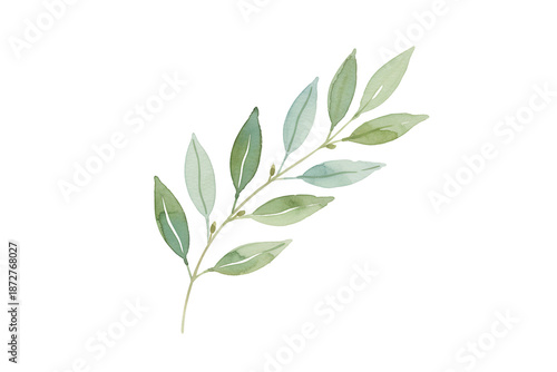 Delicate Watercolor Illustration of a Green Branch with Leaves Against Black