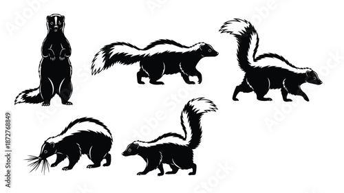 Black and white illustrations of skunks in various poses on a plain white background.