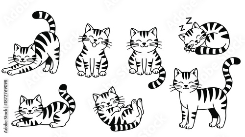 A set of seven black and white line drawings of cats in various poses against a clean white background.