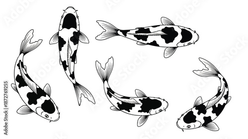 Five black and white koi fish swimming in a circular motion on a plain white background with a minimalist illustration style.