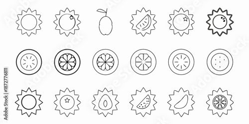 Collection of hand drawn citrus fruit and slice icons in black and white