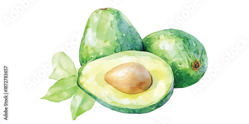 watercolor avocado fruit slice with green leaves illustration hand drawn fruits clip art