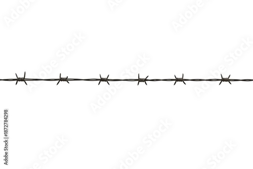 Wallpaper Mural Barbed Wire Isolated on White Background Torontodigital.ca