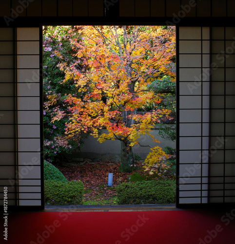 京都泉涌寺雲龍院の秋