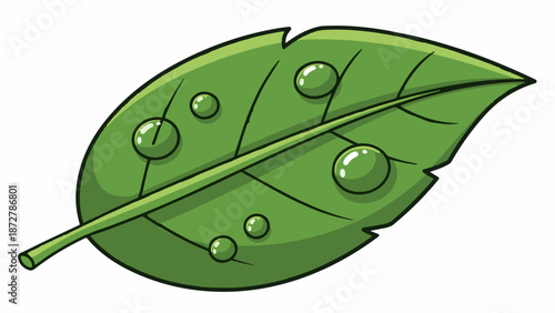 A vibrant green leaf with dew drops, showcasing nature's refreshing beauty