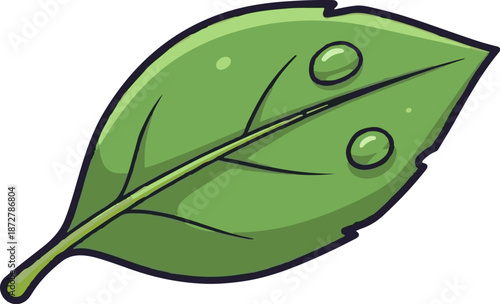 A vibrant green leaf with dew drops and a prominent central vein