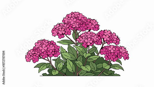 A vibrant illustration of a cluster of pink flowers with green leaves and stems