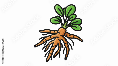 A stylized root vegetable with green leaves, orange root