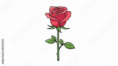 A single red rose with green leaves and stem on a white background