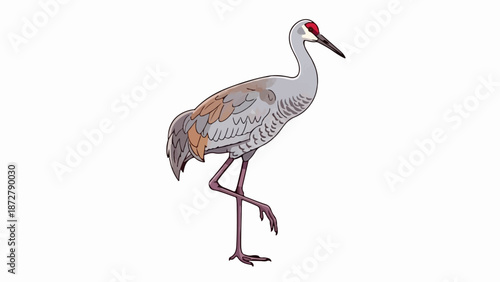 A stylized depiction of a sandhill crane with grey plumage, red head marking, and thin legs
