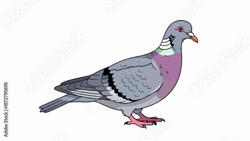 A stylized pigeon with gray, purple, and green plumage stands on pink feet against a white background