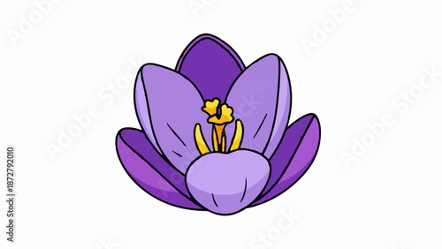 A stylized purple crocus flower with yellow stamens against a white background