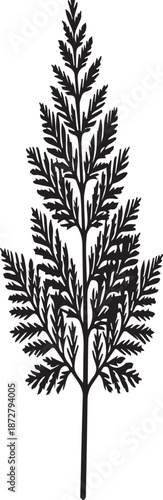 Stylized Black Silhouette of a Fern Leaf on a White Background Keywords: fern, leaf, plant, foliage, nature, botanical