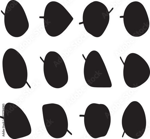 Twelve Black Silhouettes of Various Leaf Shapes on a White Background variation oval