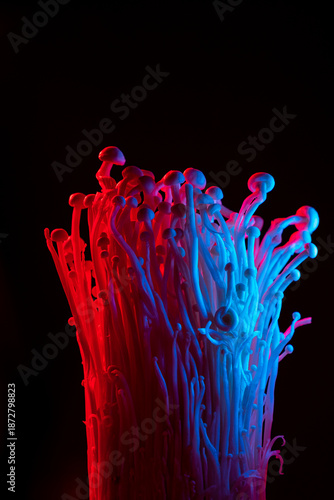 Принти на полотні Striking hues of red and blue blend together, forming an enchanting display of s