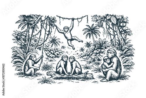Detailed vintage line art vector illustration of monkeys in a tropical rainforest jungle, wildlife scene with trees and foliage in classic engraving style